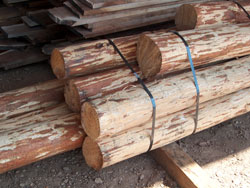 Hand peeled pine logs pressure treated for a 1930 log home to replace rotted logs.