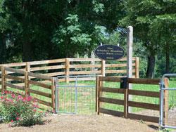 Whiskey Bonding Barn Fencing